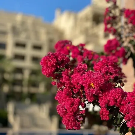 Apartament Argisht 647